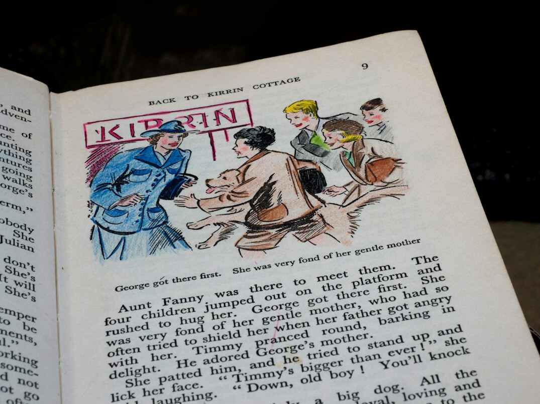 climax scene in book